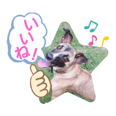 [LINEスタンプ] ドンとアーロ その4