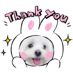 [LINEスタンプ] jdnsiwnq