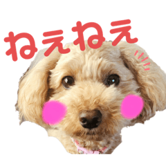 [LINEスタンプ] ららちゃん☆☆