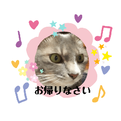[LINEスタンプ] ニコ＆ナナ 3