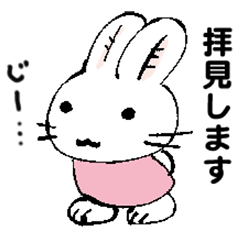 [LINEスタンプ] ピンク服のうさぎ（敬語多め）