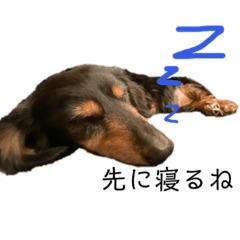 [LINEスタンプ] 愛犬あいすのスタンプvol.1