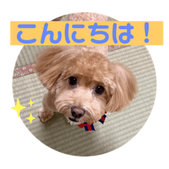 [LINEスタンプ] クッキーの日常"3"