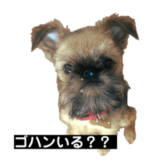 [LINEスタンプ] がんもザグリフォン