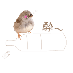 [LINEスタンプ] 錦華鳥3兄弟 日常 ひなver