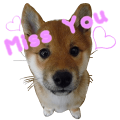 [LINEスタンプ] みあしばちゃん
