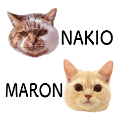 [LINEスタンプ] なきおとまろん01