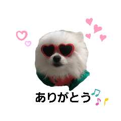 [LINEスタンプ] すふれすふれ