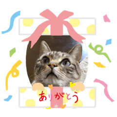 [LINEスタンプ] てんたん♡