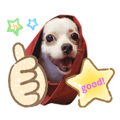 [LINEスタンプ] ワンコ(犬) enjoyスタンプ