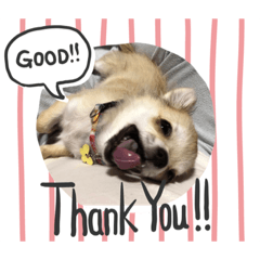 [LINEスタンプ] 真鈴スタンプ