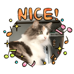 [LINEスタンプ] ももの生活2