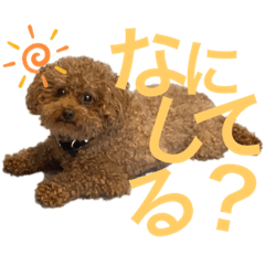 [LINEスタンプ] うちのりた