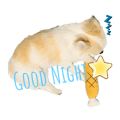 [LINEスタンプ] NICO's スタンプ3