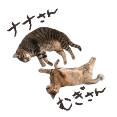 [LINEスタンプ] 猫のナナさんとむぎさん