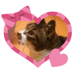 [LINEスタンプ] めぐっち