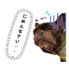 [LINEスタンプ] ブヒ日和