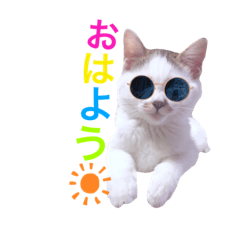[LINEスタンプ] てん☆スタンプ