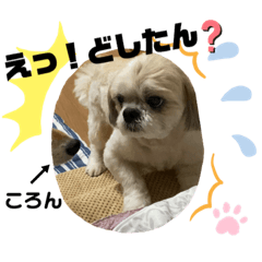 [LINEスタンプ] みことわんこたち