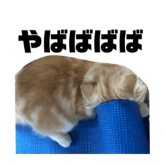 [LINEスタンプ] めいると愉快な仲間たち2弾