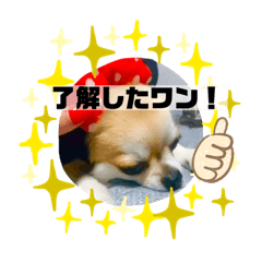 [LINEスタンプ] るき＆そら❤️スタンプ❤️第2弾