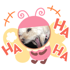 [LINEスタンプ] 私はラン子2