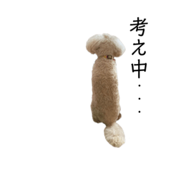 [LINEスタンプ] 我が家のもふもふ⑤