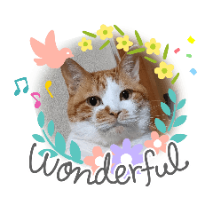 [LINEスタンプ] ねこ ネコ 猫 トカゲ