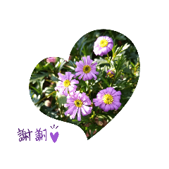[LINEスタンプ] うちの奴ら