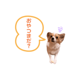 [LINEスタンプ] しょうのペット♪