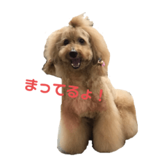 [LINEスタンプ] 陽気な3プー