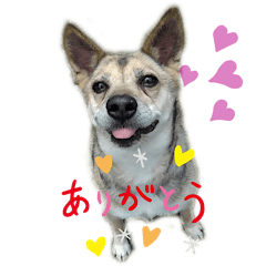 [LINEスタンプ] さつき★スタンプ