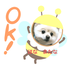 [LINEスタンプ] 関西弁シロやで