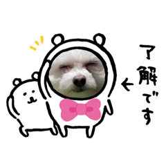 [LINEスタンプ] かわいい日常スタイル