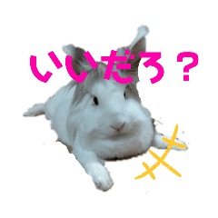 [LINEスタンプ] プリンパーリナイト