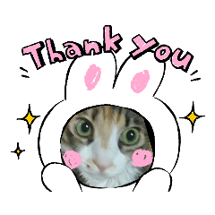 [LINEスタンプ] みかん 2