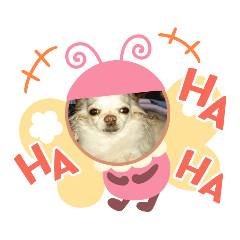 [LINEスタンプ] わんこちび＆チェリー8