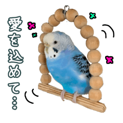 [LINEスタンプ] セキセイインコ (ブルー) 2