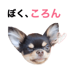 [LINEスタンプ] ぼく、ころんの画像（メイン）