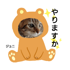 [LINEスタンプ] うちの子じまん