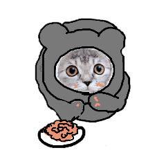 [LINEスタンプ] おうちのこねこーん