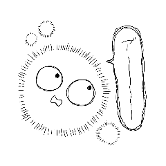 [LINEスタンプ] しろかびくん