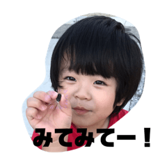 [LINEスタンプ] こうがの色々