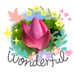 [LINEスタンプ] お花とほめ言葉 日常使えるやさしい