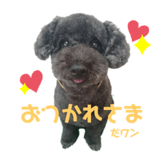[LINEスタンプ] 我が家のお犬様！Rifuだワン！2