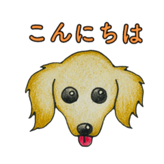 [LINEスタンプ] ダックスフンド(クリーム)