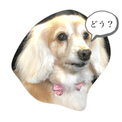 [LINEスタンプ] ベーちんのスタンプ