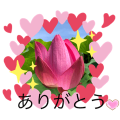 [LINEスタンプ] 幸せになる3つの言葉