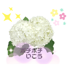 [LINEスタンプ] 敬語が使える
