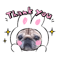 [LINEスタンプ] 白パグななちゃん